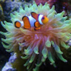 Meet your Posher, Dustin